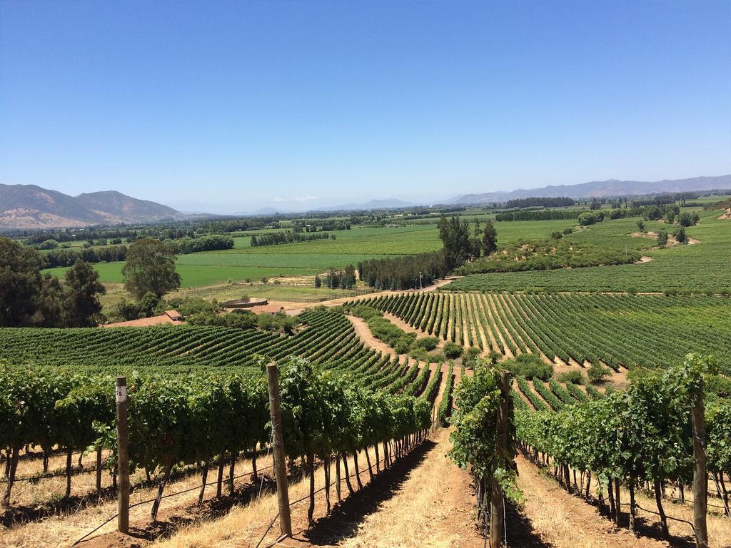 Noi Blend Colchagua 호텔 산타크루스 외부 사진